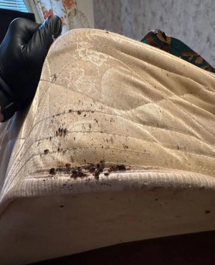 Оборудование для дезинсекции